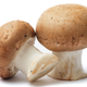 Illustration for article titled The Future Will Be Full of Mushroom Batteries